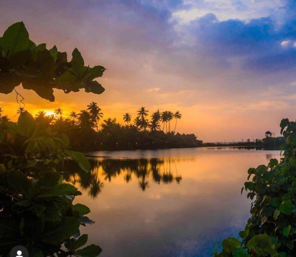 Turtle Paradise Villa Kosgoda Buitenkant foto